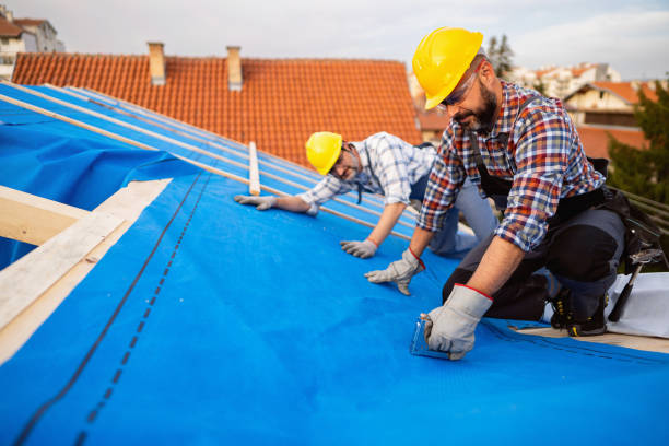 Best Roof Maintenance Services  in Thornville, OH